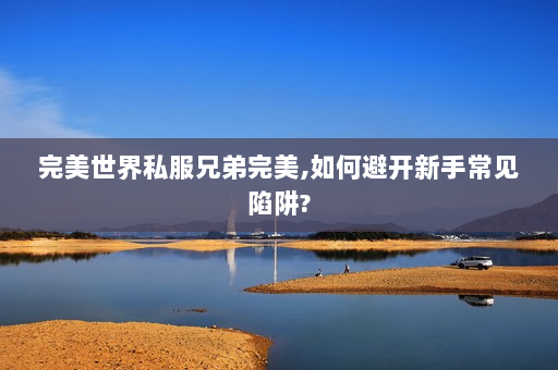 完美世界私服兄弟完美,如何避开新手常见陷阱?