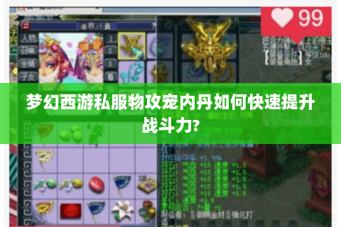 梦幻西游私服物攻宠内丹如何快速提升战斗力?