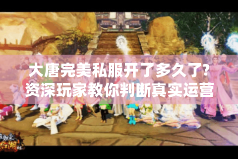 大唐完美私服开了多久了?资深玩家教你判断真实运营时长