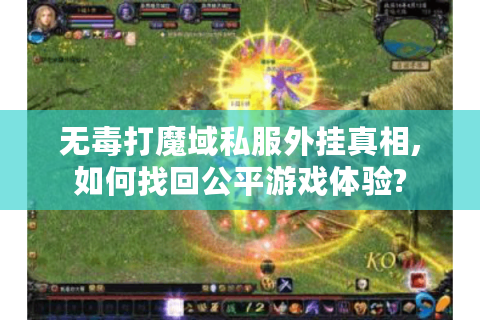 无毒打魔域私服外挂真相,如何找回公平游戏体验?