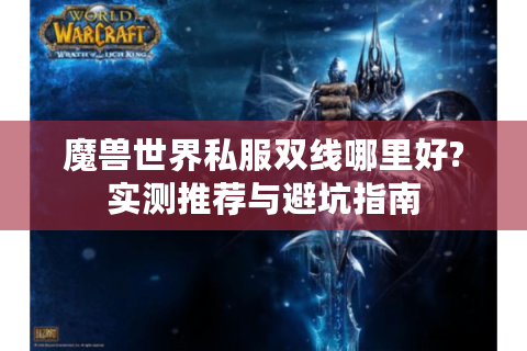 魔兽世界私服双线哪里好?实测推荐与避坑指南