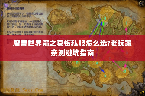 魔兽世界霜之哀伤私服怎么选?老玩家亲测避坑指南