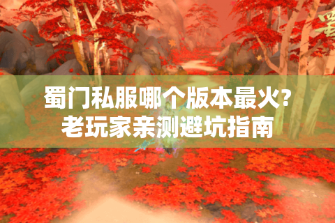 蜀门私服哪个版本最火?老玩家亲测避坑指南