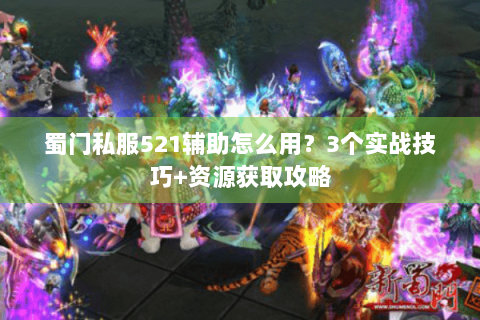 蜀门私服521辅助怎么用？3个实战技巧+资源获取攻略