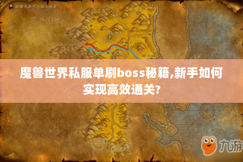 魔兽世界私服单刷boss秘籍,新手如何实现高效通关?