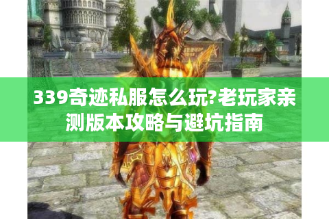 339奇迹私服怎么玩?老玩家亲测版本攻略与避坑指南