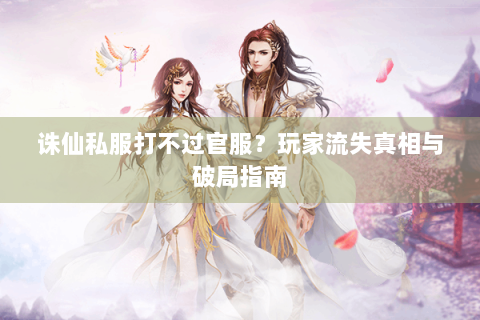 诛仙私服打不过官服？玩家流失真相与破局指南