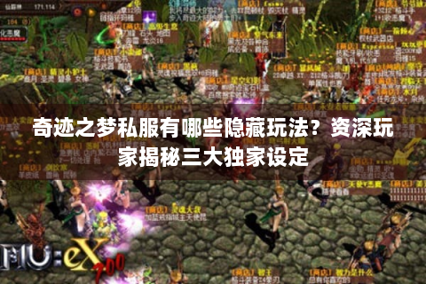 奇迹之梦私服有哪些隐藏玩法？资深玩家揭秘三大独家设定