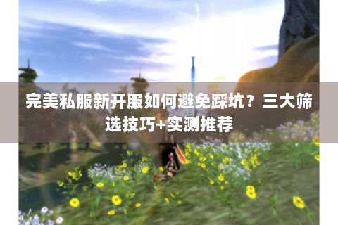 完美私服新开服如何避免踩坑？三大筛选技巧+实测推荐