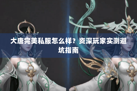 大唐完美私服怎么样？资深玩家实测避坑指南