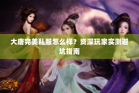 大唐完美私服怎么样？资深玩家实测避坑指南