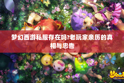 梦幻西游私服存在吗?老玩家亲历的真相与忠告