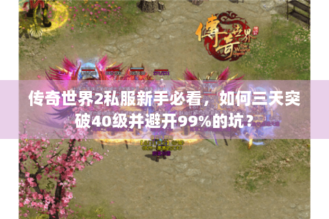 传奇世界2私服新手必看，如何三天突破40级并避开99%的坑？