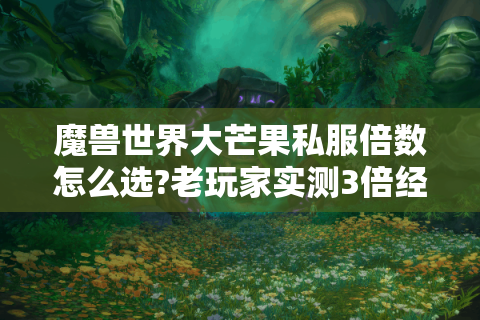 魔兽世界大芒果私服倍数怎么选?老玩家实测3倍经验最保值