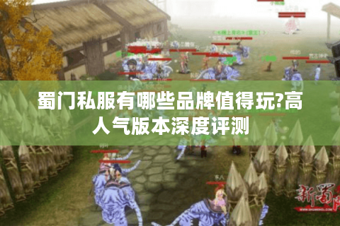 蜀门私服有哪些品牌值得玩?高人气版本深度评测