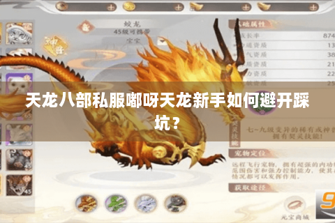 天龙八部私服嘟呀天龙新手如何避开踩坑？