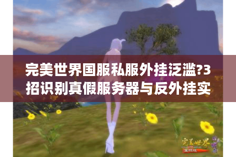 完美世界国服私服外挂泛滥?3招识别真假服务器与反外挂实战技巧
