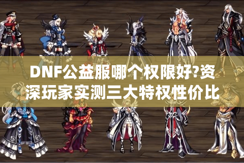 DNF公益服哪个权限好?资深玩家实测三大特权性价比