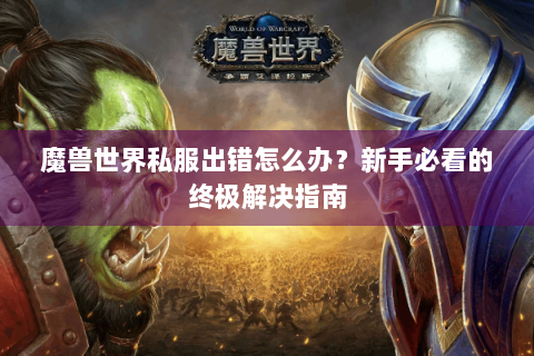 魔兽世界私服出错怎么办？新手必看的终极解决指南