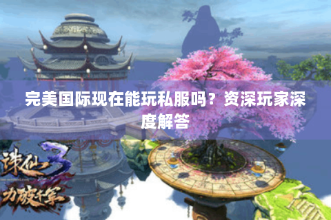 完美国际现在能玩私服吗？资深玩家深度解答
