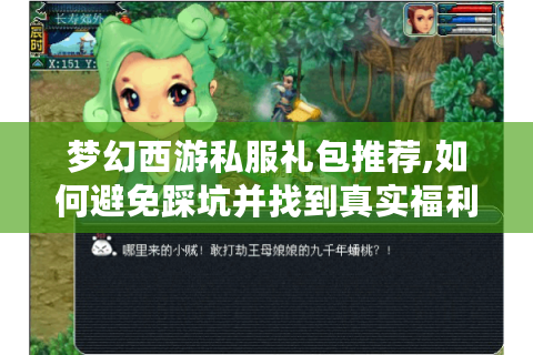 梦幻西游私服礼包推荐,如何避免踩坑并找到真实福利?
