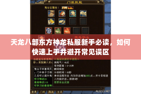 天龙八部东方神龙私服新手必读，如何快速上手并避开常见误区