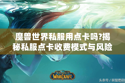 魔兽世界私服用点卡吗?揭秘私服点卡收费模式与风险