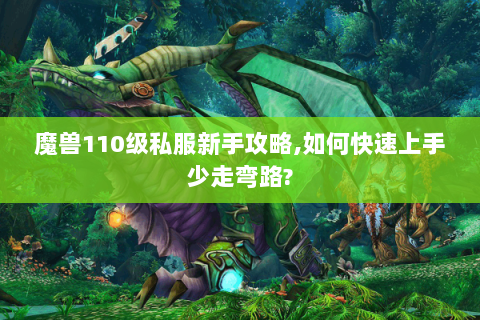 魔兽110级私服新手攻略,如何快速上手少走弯路?