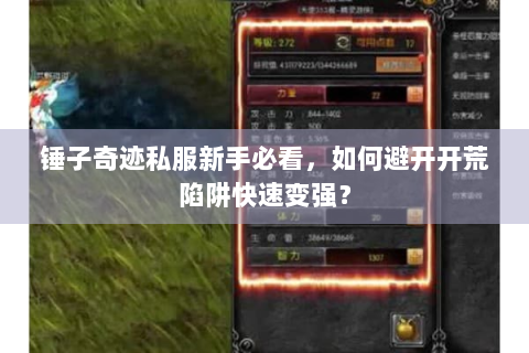 锤子奇迹私服新手必看，如何避开开荒陷阱快速变强？