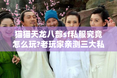猫猫天龙八部sf私服究竟怎么玩?老玩家亲测三大私服推荐
