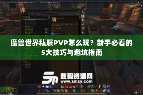 魔兽世界私服PVP怎么玩？新手必看的5大技巧与避坑指南