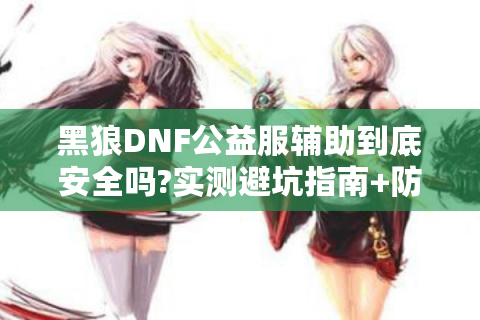 黑狼DNF公益服辅助到底安全吗?实测避坑指南+防封号技巧