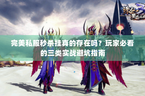 完美私服秒杀挂真的存在吗？玩家必看的三类实战避坑指南