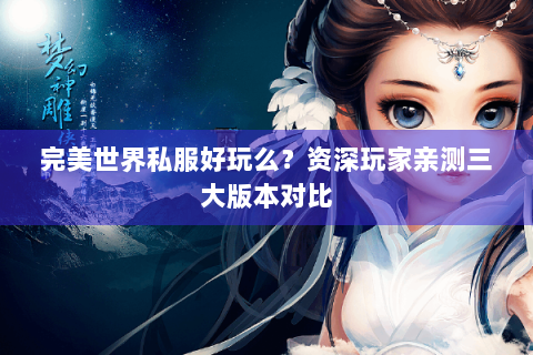完美世界私服好玩么？资深玩家亲测三大版本对比