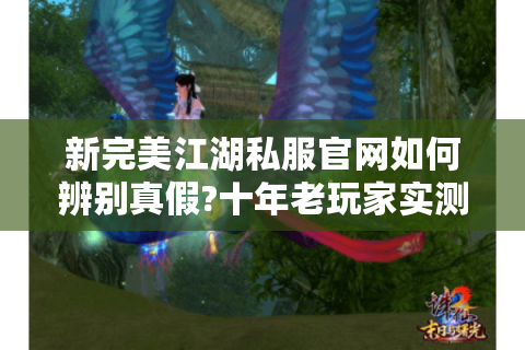 新完美江湖私服官网如何辨别真假?十年老玩家实测防坑指南