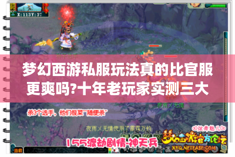 梦幻西游私服玩法真的比官服更爽吗?十年老玩家实测三大核心差异