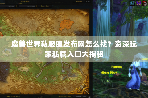魔兽世界私服服发布网怎么找？资深玩家私藏入口大揭秘