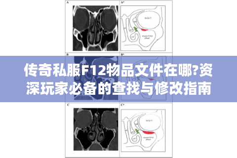 传奇私服F12物品文件在哪?资深玩家必备的查找与修改指南