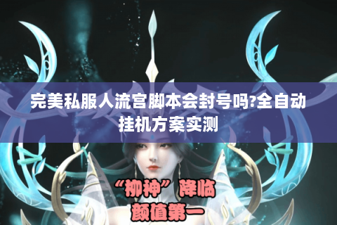 完美私服人流宫脚本会封号吗?全自动挂机方案实测