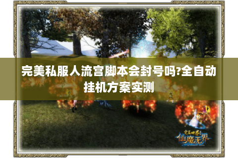 完美私服人流宫脚本会封号吗?全自动挂机方案实测
