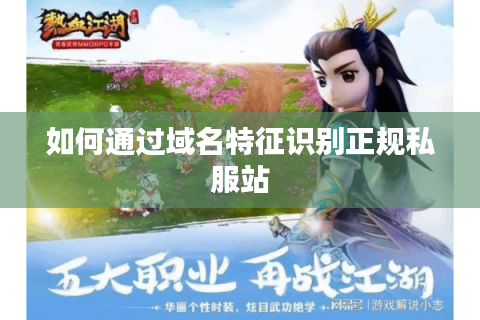 如何通过域名特征识别正规私服站