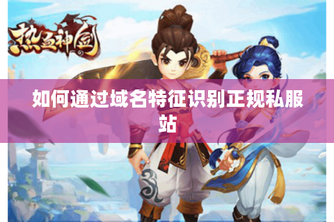 如何通过域名特征识别正规私服站