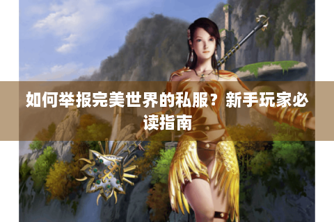 如何举报完美世界的私服？新手玩家必读指南