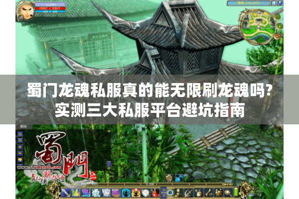 蜀门龙魂私服真的能无限刷龙魂吗?实测三大私服平台避坑指南