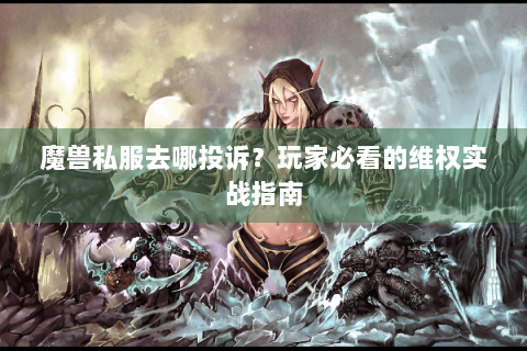 魔兽私服去哪投诉？玩家必看的维权实战指南