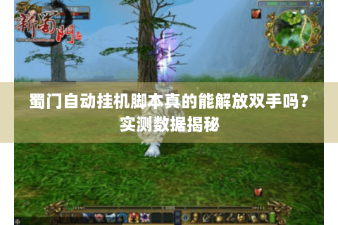 蜀门自动挂机脚本真的能解放双手吗？实测数据揭秘