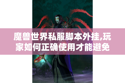 魔兽世界私服脚本外挂,玩家如何正确使用才能避免封号?