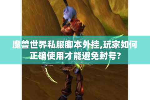 魔兽世界私服脚本外挂,玩家如何正确使用才能避免封号?