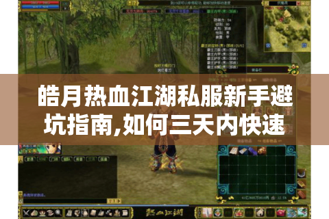 皓月热血江湖私服新手避坑指南,如何三天内快速提升战力?