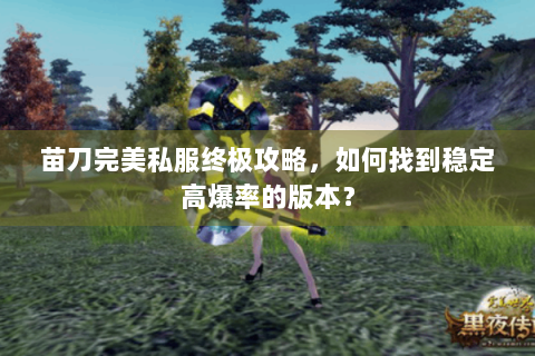 苗刀完美私服终极攻略，如何找到稳定高爆率的版本？